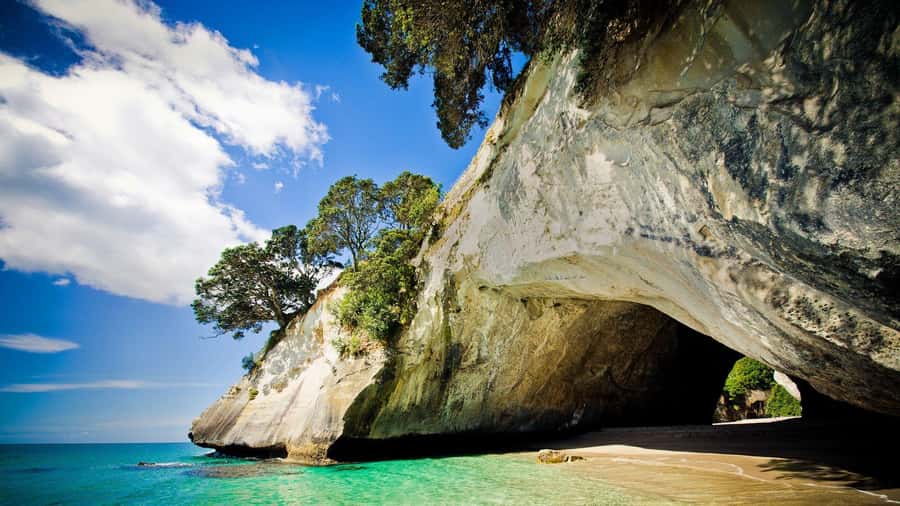 From Auckland: Cathedral Cove & Hot Water Beach Tour - Cathedral Cove Marine Reserve: walking the steps to the arches