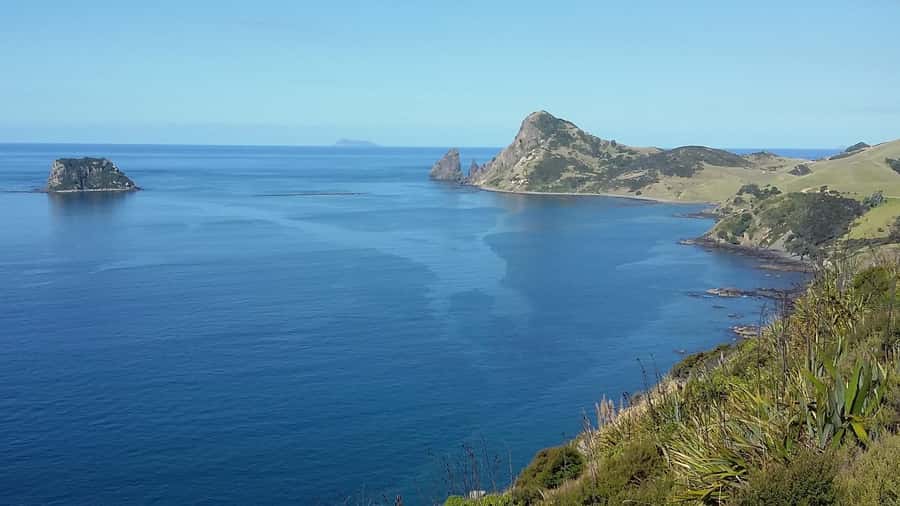 From Auckland: Cathedral Cove & Hot Water Beach Tour - Hot Water Beach: digging your own geothermal spa pool