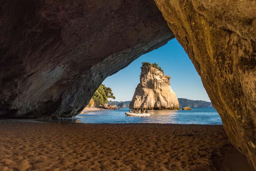 From Auckland: Cathedral Cove & Hot Water Beach Tour - Timing reality: why tides can make or break your memories