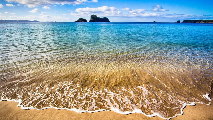 From Auckland: Cathedral Cove & Hot Water Beach Tour - Van ride comfort and guide style: practical things I’d plan for