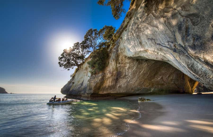 From Auckland: Cathedral Cove & Hot Water Beach Tour - Getting to Coromandel: Waikato countryside and native forest vibes