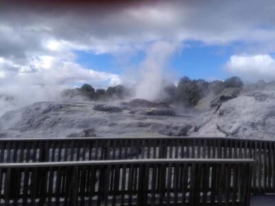 From Auckland: Day Trip to Rotorua with Optional extras - Getting There in Comfort: Small-Group Transport That Actually Helps