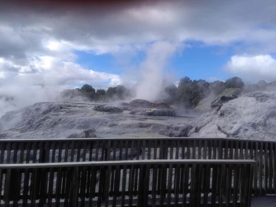 From Auckland: Day Trip to Rotorua with Optional extras - Getting There in Comfort: Small-Group Transport That Actually Helps