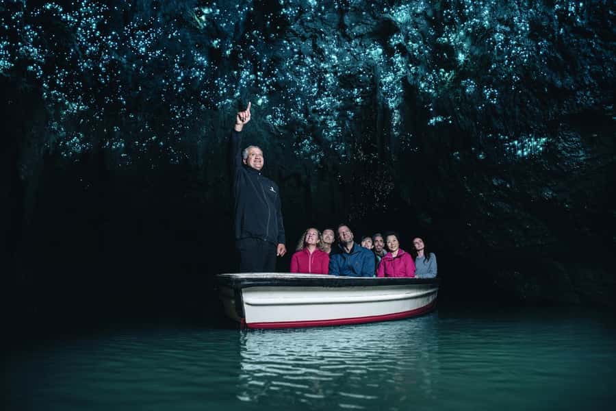 From Auckland: Day Trip to Waitomo Glow Worm Caves - Getting from Auckland to Waikato in a Mercedes van