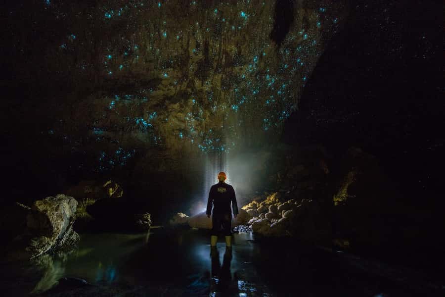 From Auckland: Day Trip to Waitomo Glow Worm Caves - The boat cruise: quiet, flat-bottom, and built for watching