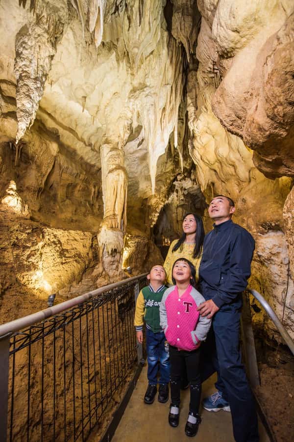 From Auckland: Day Trip to Waitomo Glow Worm Caves - Guides make the day: commentary that goes beyond the caves