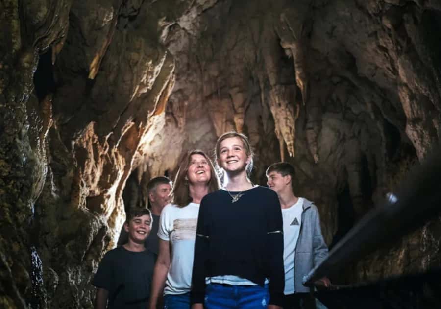 From Auckland: Day Trip to Waitomo Glow Worm Caves - Tips to get more out of the glow worms
