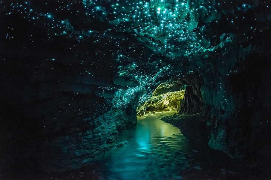 From Auckland: Day Trip to Waitomo Glow Worm Caves - Waitomo stop for shops and refreshments (and why it’s the right length)