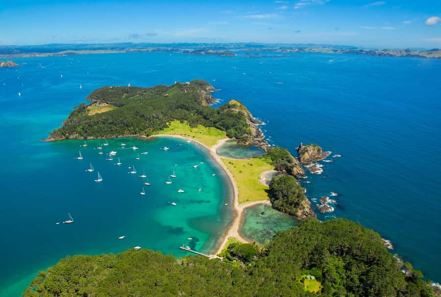 From Auckland: Full-Day Tour to the Bay of Islands - Key highlights worth aiming for