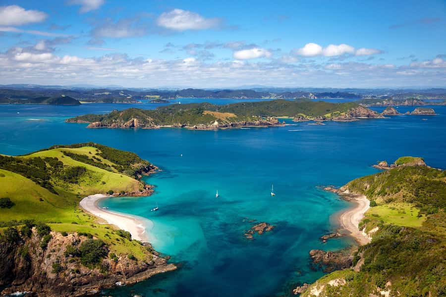 From Auckland: Full-Day Tour to the Bay of Islands - Paihia and the catamaran switch: why the boat time matters