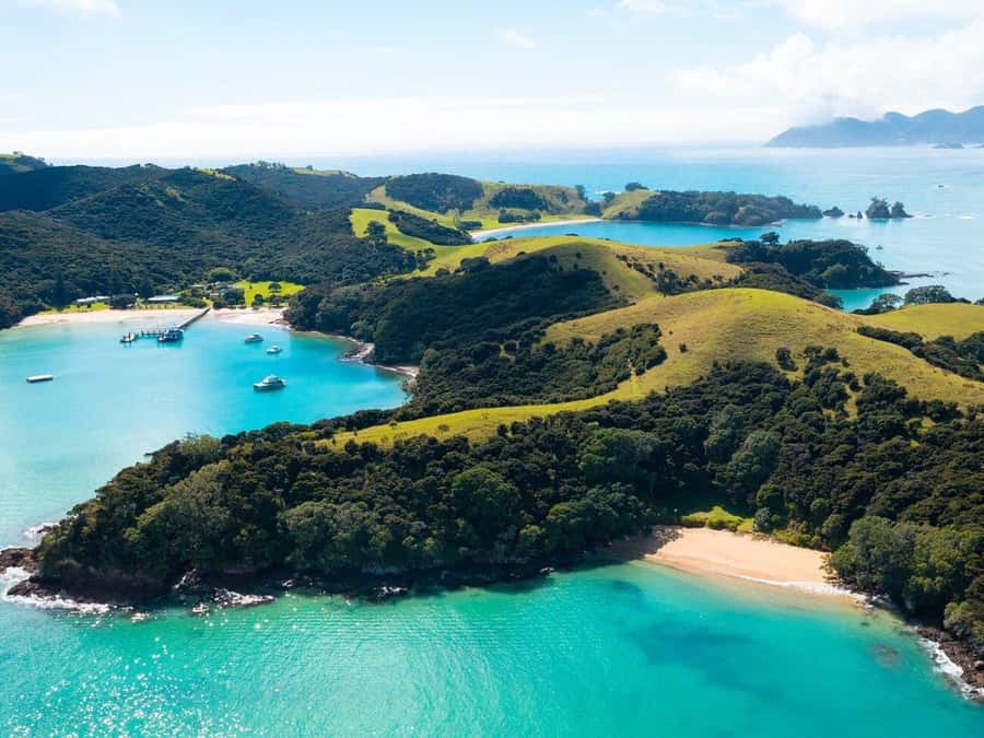 From Auckland: Full-Day Tour to the Bay of Islands - Hole in the Rock at Motukokako Island: the big-ticket moment