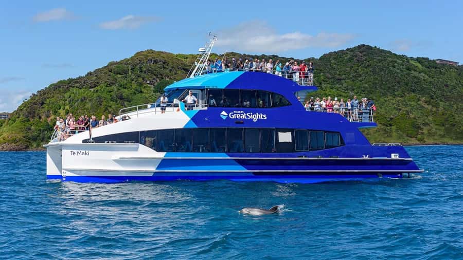 From Auckland: Full-Day Tour to the Bay of Islands - Lunch reality: what you’ll want to do before the stop