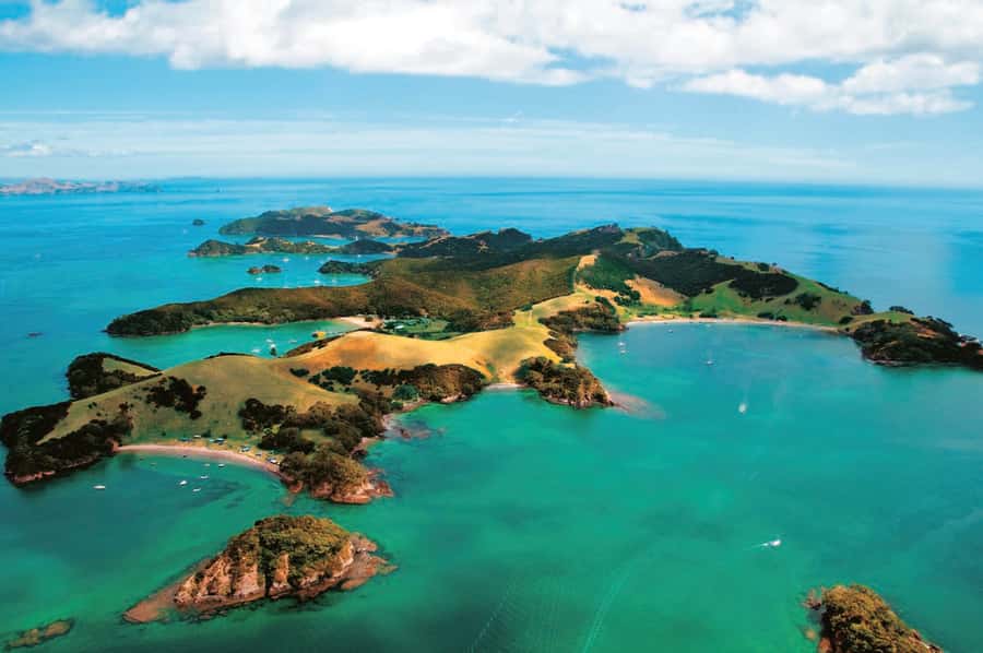 From Auckland: Full-Day Tour to the Bay of Islands - Value for money: is $274 a good deal for this itinerary?