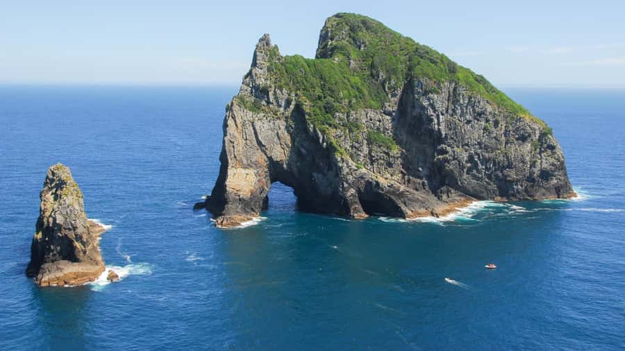 From Auckland: Full-Day Tour to the Bay of Islands - The trade-offs: what can be frustrating about a one-day format