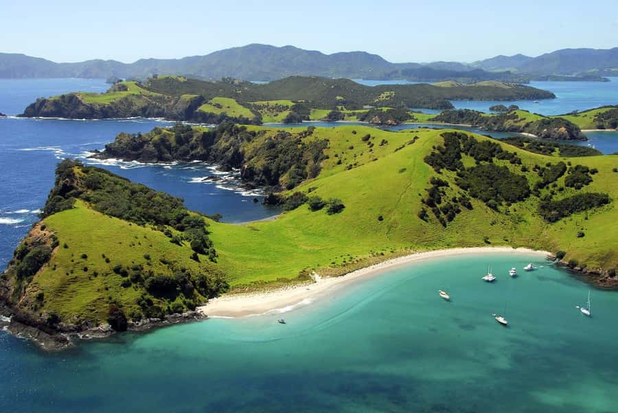 From Auckland: Full-Day Tour to the Bay of Islands - The drive north in a Mercedes van: comfort, narration, and where to sit