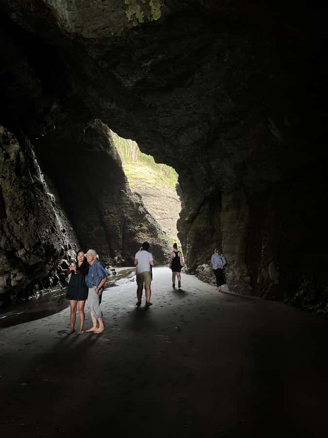 From Auckland: Guided Tour of Piha with Scenic Beach Walks - Quick hits before you go