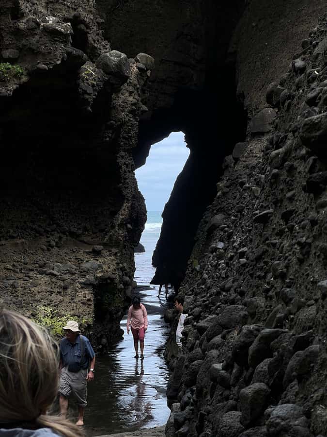 From Auckland: Guided Tour of Piha with Scenic Beach Walks - What to pack (so the day feels easy, not annoying)
