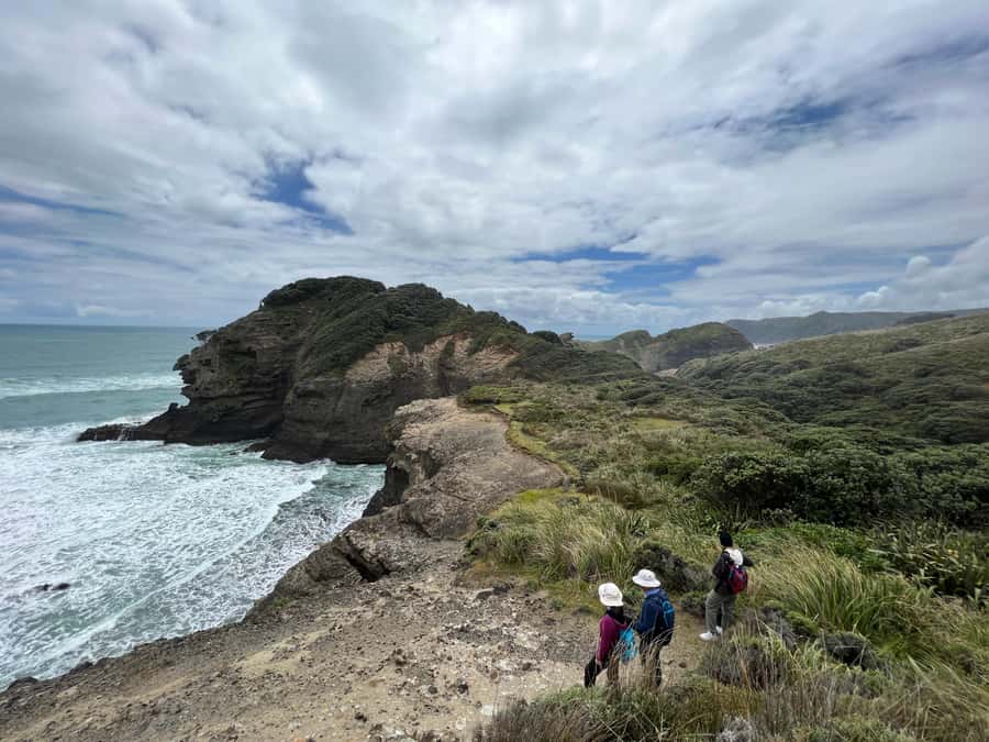 From Auckland: Guided Tour of Piha with Scenic Beach Walks - South Piha cliffs and sea caves: where the coast looks sculpted