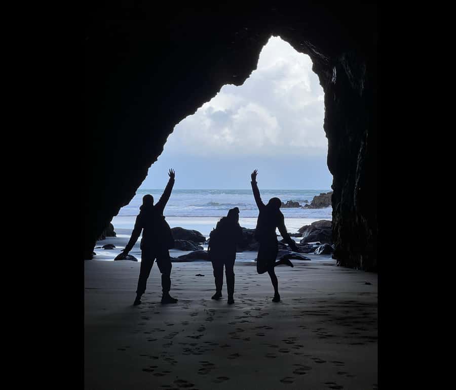 From Auckland: Guided Tour of Piha with Scenic Beach Walks - Barefoot on black sand: optional, fun, and not for everyone