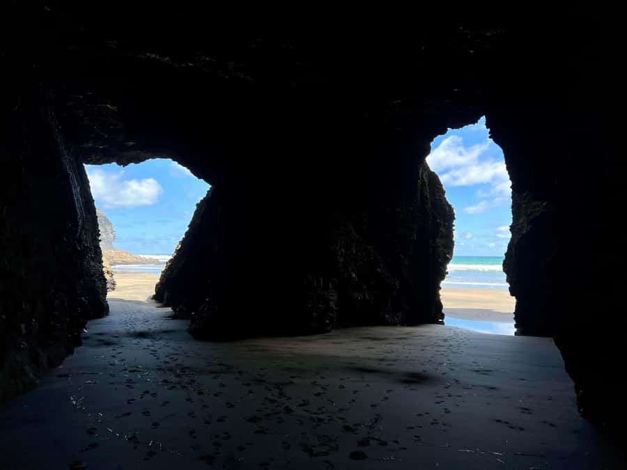 From Auckland: Guided Tour of Piha with Scenic Beach Walks - Getting the most from Louis: how a good guide turns stops into meaning