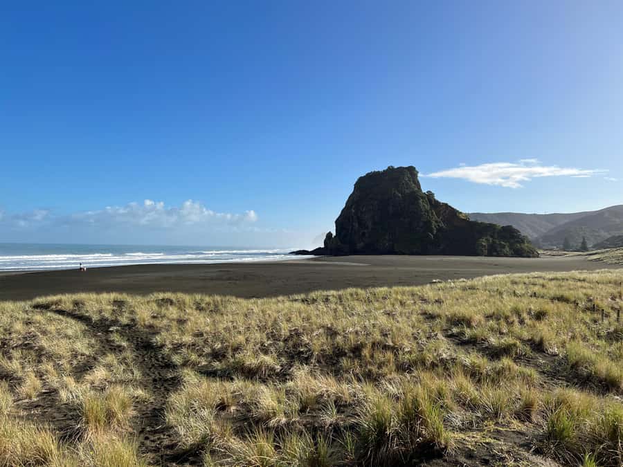 From Auckland: Guided Tour of Piha with Scenic Beach Walks - Two lookout stops that set the mood (and help your photos)