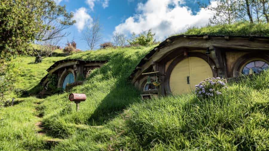From Auckland: Hobbiton Afternoon Tour - Quick hits