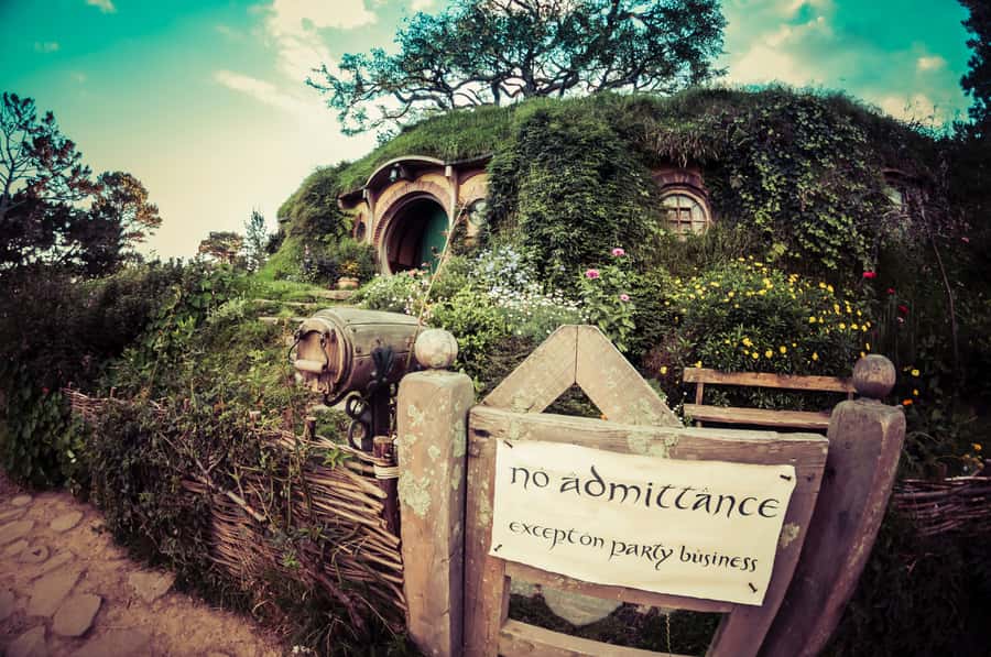 From Auckland: Hobbiton Afternoon Tour - Why the 11am start from Auckland feels like a better day