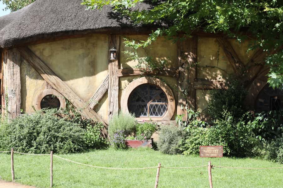 From Auckland: Hobbiton Afternoon Tour - The Waikato drive: dairy country views plus real roadside moments