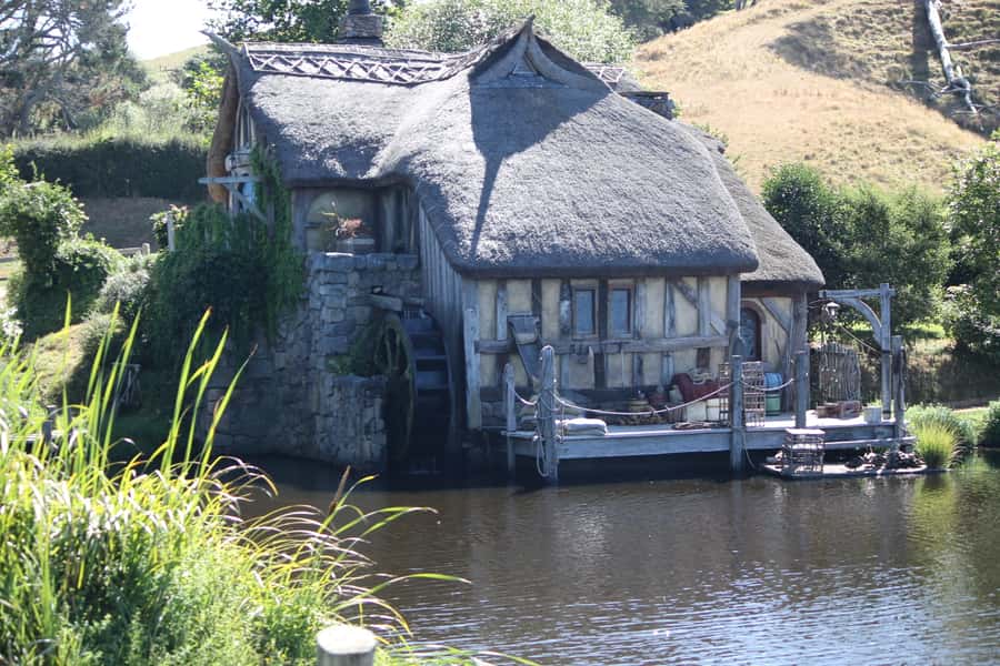 From Auckland: Hobbiton Afternoon Tour - Who this tour is perfect for (and who should adjust expectations)