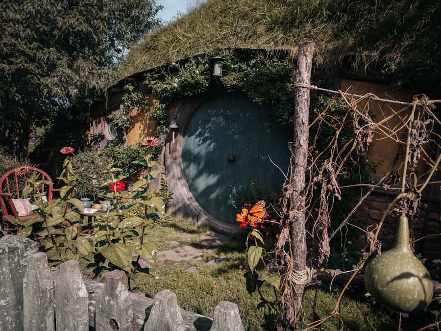 From Auckland: Hobbiton Afternoon Tour - Luxury minibus comfort and why small groups matter on day trips