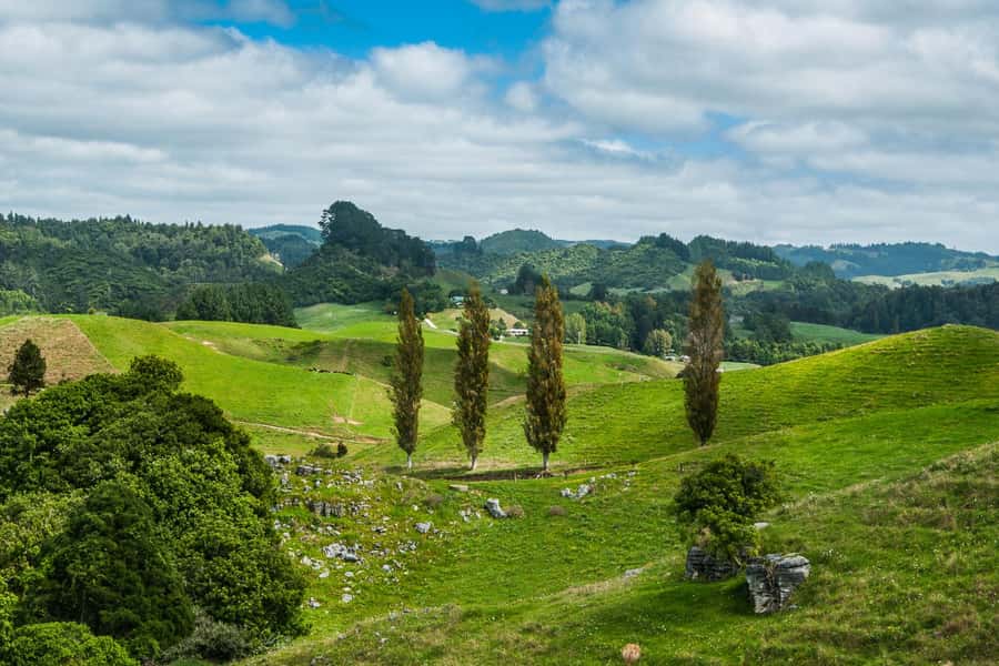 From Auckland: Hobbiton and Waitomo Day Tour with Lunch - Key highlights worth clocking