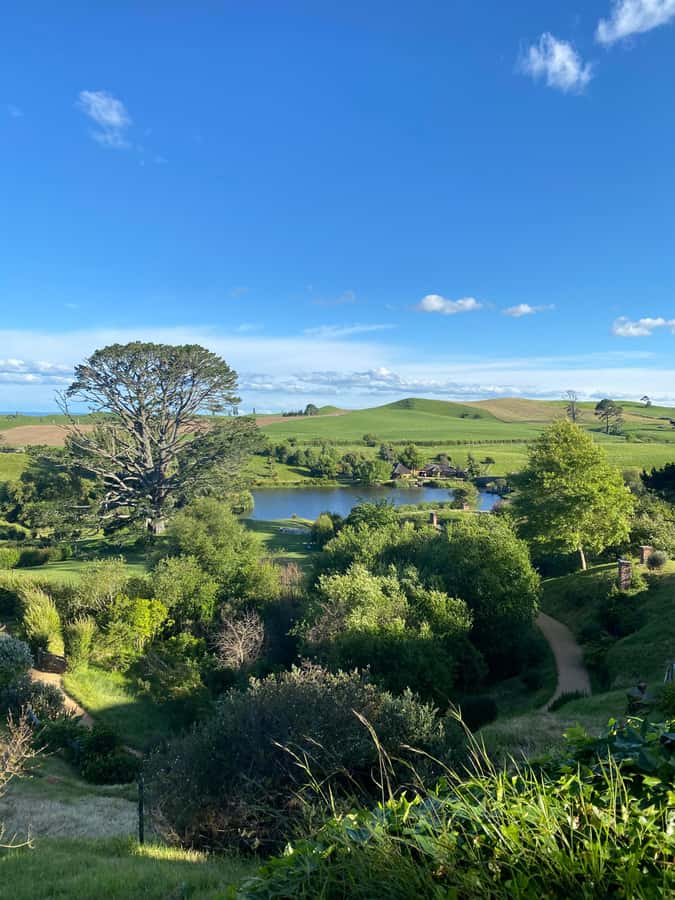 From Auckland: Hobbiton & Hamilton Gardens Small Group Tour - The Green Dragon Inn drink: the small moment that sells the vibe