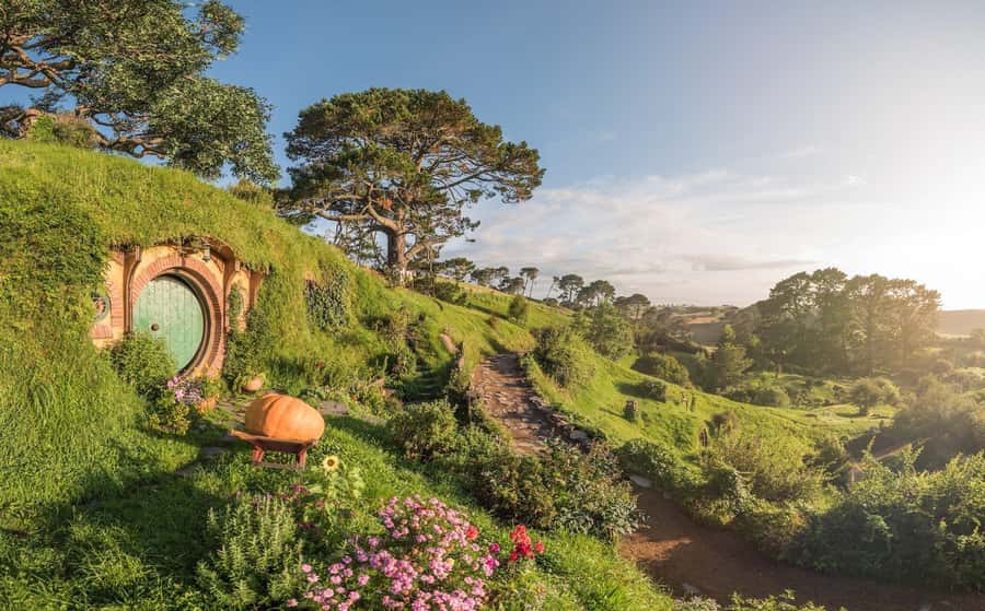 From Auckland: Hobbiton Movie Set Day Tour with Picnic Lunch - Hobbiton Movie Set walk: 44 hobbit holes and the guide doing the heavy lifting
