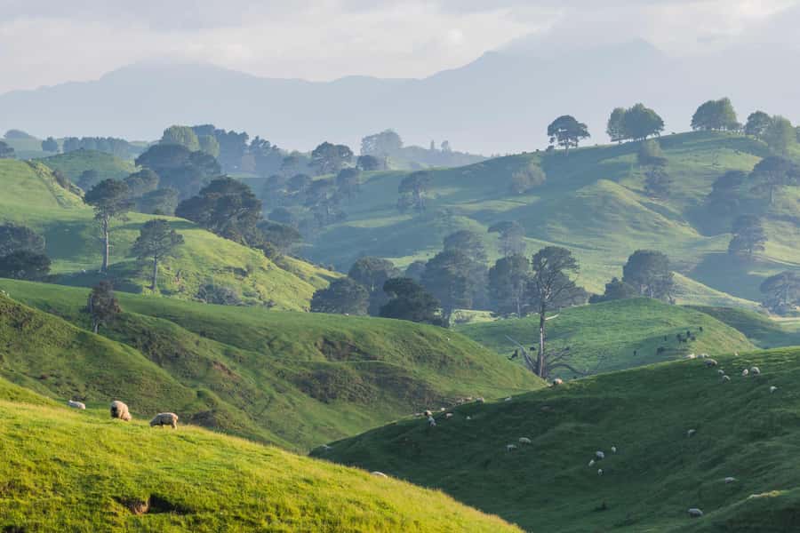 From Auckland: Hobbiton Movie Set Day Tour with Picnic Lunch - The Green Dragon Inn and Shire’s Rest moments that add character
