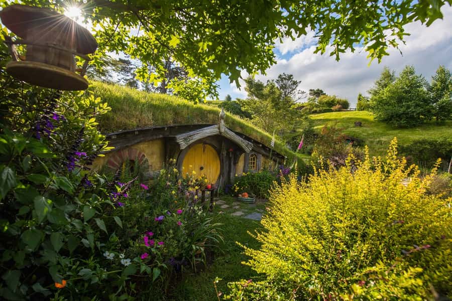 From Auckland: Hobbiton Movie Set Full-Day Small-Group Trip - What the 2-hour guided Shire walk actually feels like