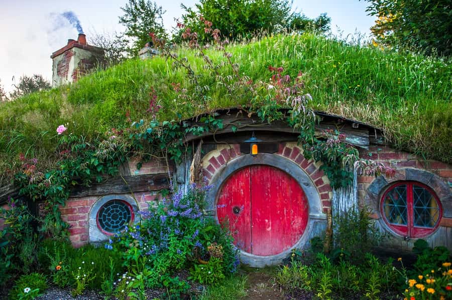 From Auckland: Hobbiton Movie Set Full-Day Small-Group Trip - The Shire Store: souvenirs without derailing your day