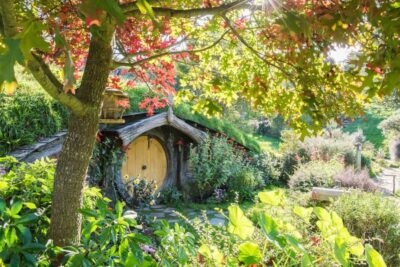 From Auckland: Hobbiton Movie Set Small Group Tour - Alexander Family Sheep Farm and Shire’s Rest: your first real Shire moment