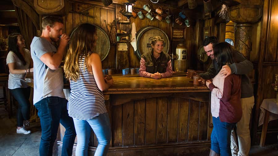 From Auckland: Hobbiton Movie Set Small Group Tour - Who should book this Hobbiton day trip from Auckland