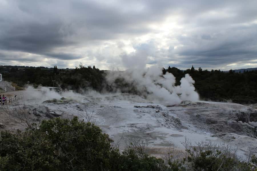 From Auckland: Hobbiton & Rotorua Tour with Lunch at Te Puia - Price and value: what you’re really paying for