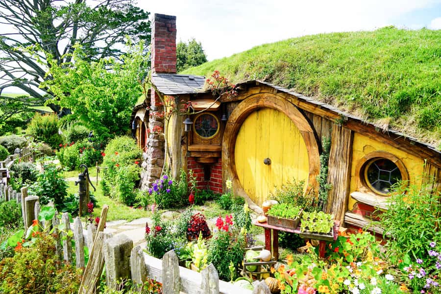 From Auckland: Hobbiton & Rotorua Tour with Lunch at Te Puia - A long but efficient day: Auckland to Hobbiton, then Rotorua