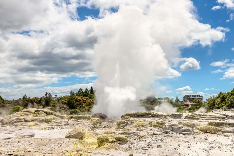 From Auckland: Hobbiton & Rotorua Tour with Lunch at Te Puia - Te Puia at Rotorua: geothermal activity plus Māori culture in one stop