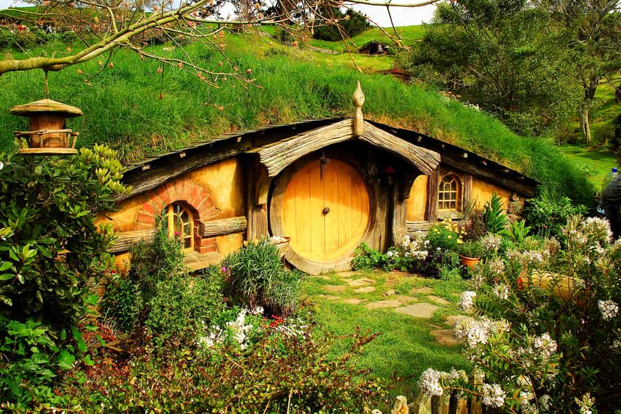 From Auckland: Hobbiton & Rotorua Tour with Lunch at Te Puia - Lunch at Te Puia: buffet value and how to set expectations