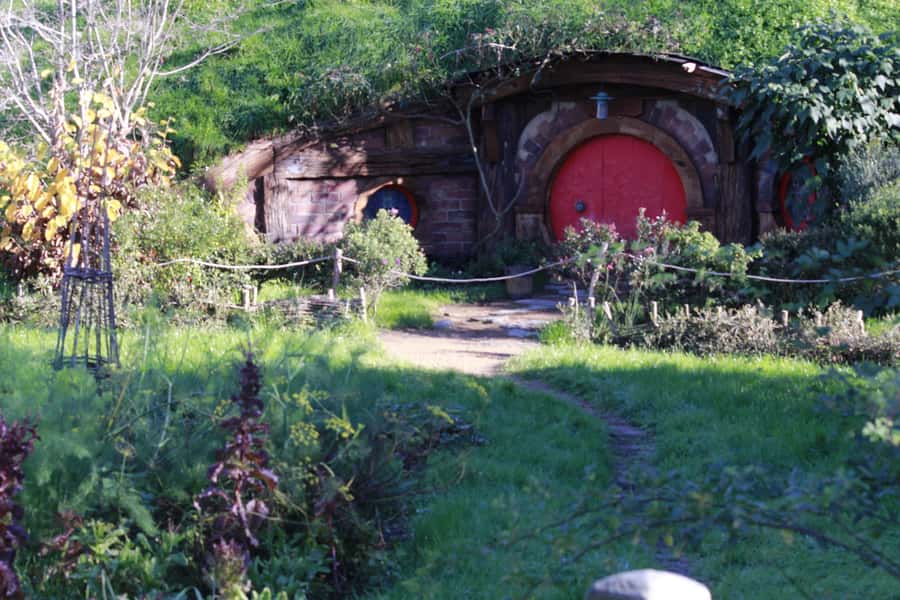 From Auckland: Hobbiton & Rotorua Tour with Lunch at Te Puia - Your ride from Auckland: small-group comfort and the reality of the long drive
