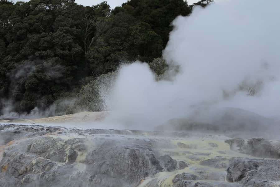 From Auckland: Hobbiton & Rotorua Tour with Lunch at Te Puia - Who this Hobbiton and Te Puia day trip is best for