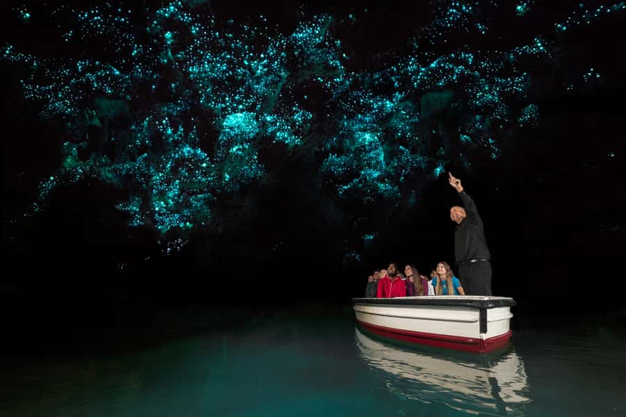 From Auckland: Hobbiton & Waitomo Caves Day Trip with Lunch - Tips to make the day feel smooth (not rushed)