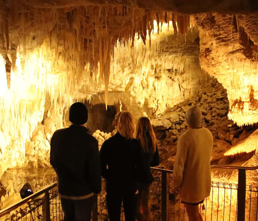 From Auckland: Hobbiton & Waitomo Caves Full-Day Trip - Waitomo Glowworm Caves: the boat ride that really delivers