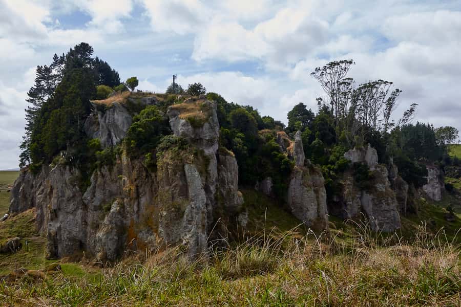 From Auckland or Rotorua: Hobbiton & Waitomo Tour with Lunch - Driving Time: The Hidden Factor in Any Auckland-or-Rotorua Day Trip