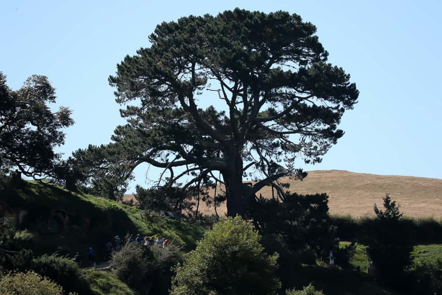 From Auckland or Rotorua: Hobbiton & Waitomo Tour with Lunch - Who This Tour Fits Best (And Who Should Rethink It)