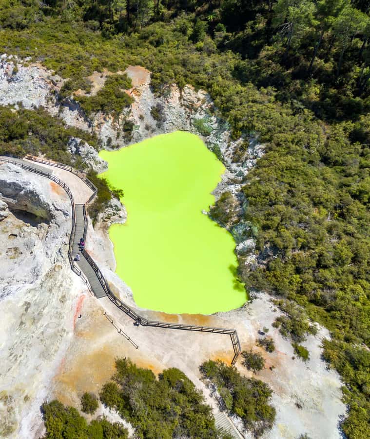 From Auckland: Rotorua Māori Village & Activity Combinations - What you’re really paying for at about $194 per person