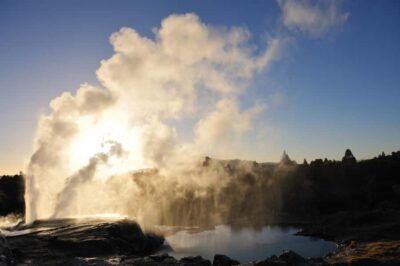 From Auckland: Rotorua Te Puia, Haka & Polynesian Spa Tour - Te Puia: geysers, mud pools, and guided Māori context